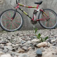 دوچرخه