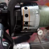 لنسر ماهیگیری