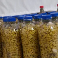غوره شور اصل کاشمر