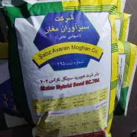 بذر ذرت ۷۰۴