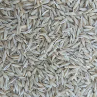 جو ابی