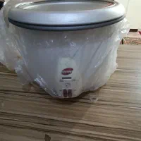 پلوپزبرقی