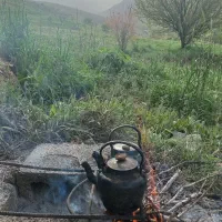 علف همه گیاه کوبیده شده