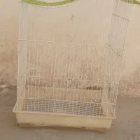 قفس پرنده