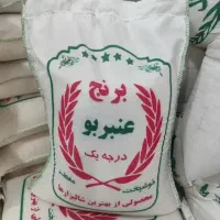 عَنبربو ، چَمپا نشایی**برنج شوشتر