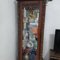 ویترین سالم