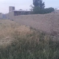 اجاره سویت