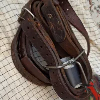 هیکلی .کمربند علم کشی