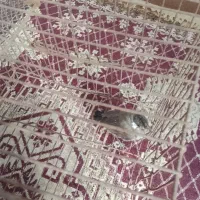مرغ عشق خوش صدا