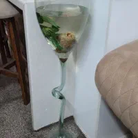 تنگ ماهی و بامبو