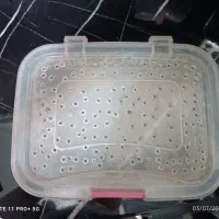 باکس حلزون