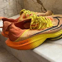 Nike zoomx master|کیف، کفش، کمربند|مشهد, حسابی جنوبی (شهرک غرب)|دیوار