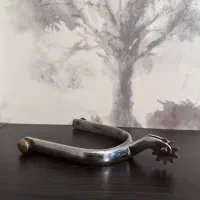 مهمیز سوارکاری