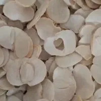 موسیر تازه پلاکی