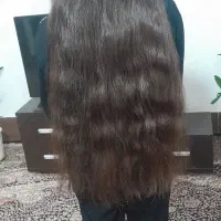 موطبیعی