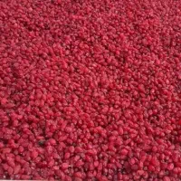 زرشک آلو اسلایس هل