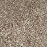 فروش گندم کیلویی 60 هزار تومان