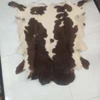 پوست گاو طبیعی