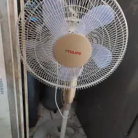 پنکه