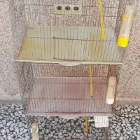 قفس پرنده