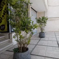 گلدان بزرگ مخصوص ورودی مغازه و باغ