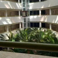 رتبه ۵ تک نیرو پدیدار سپهر