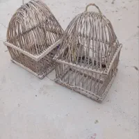 قفس کبگ