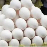 تخم مرغ|خوردنی و آشامیدنی|خمینی‌شهر, |دیوار