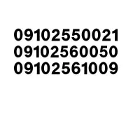 ۰۹۱۰.۲۵۶.۰۰۵۰