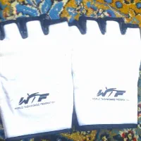 دستکش تکواندو