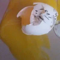 دعا و بازگشت چشم نظر