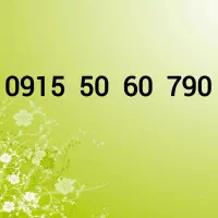 0915-50-60-790