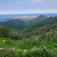 زمین ۳۱۰ متر مسکونی / شش دانگ / مستطیل