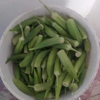 بامیه تازه