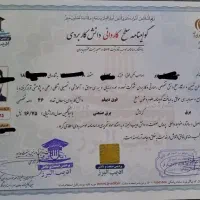 اخذمدرک دیپلم تا دکترا استعلام دار بدون پیش پرداخت