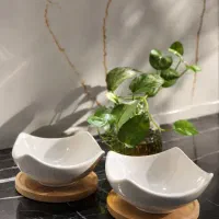 فروش ظروف چینی وسرامیکی