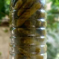خیار شور خانگی  وترشی کلم قرمز  رستورانی