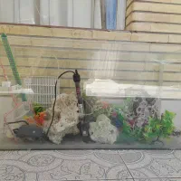 آکواریوم
