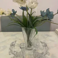 جاشمعی دلفین پارادایس