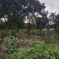 زمین-آپارتمانی
