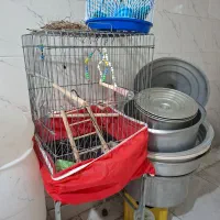 قفس طوطی