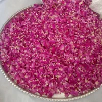گل محمدی