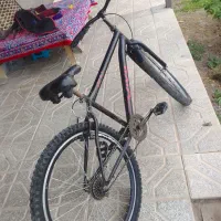 دوچرخه ۲۶ویوا