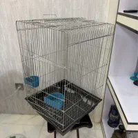 قفس ۱۰۳۳ پرنده طوطی