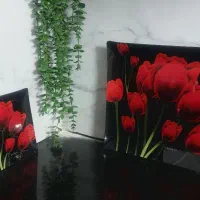 دوازده عدد بشقاب و دو عدد دیس مربعی