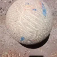 توپ ۳۵۰