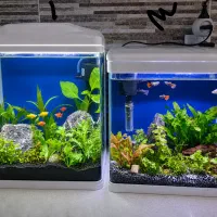 آکواریوم شرکتی همراه همه وسایل