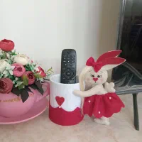 جا کنترلی جا برسی جامدادی