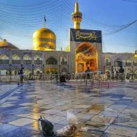 تور ریلی مشهد مقدس