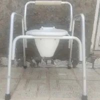 تو والت فرنگی‌ درحد نو